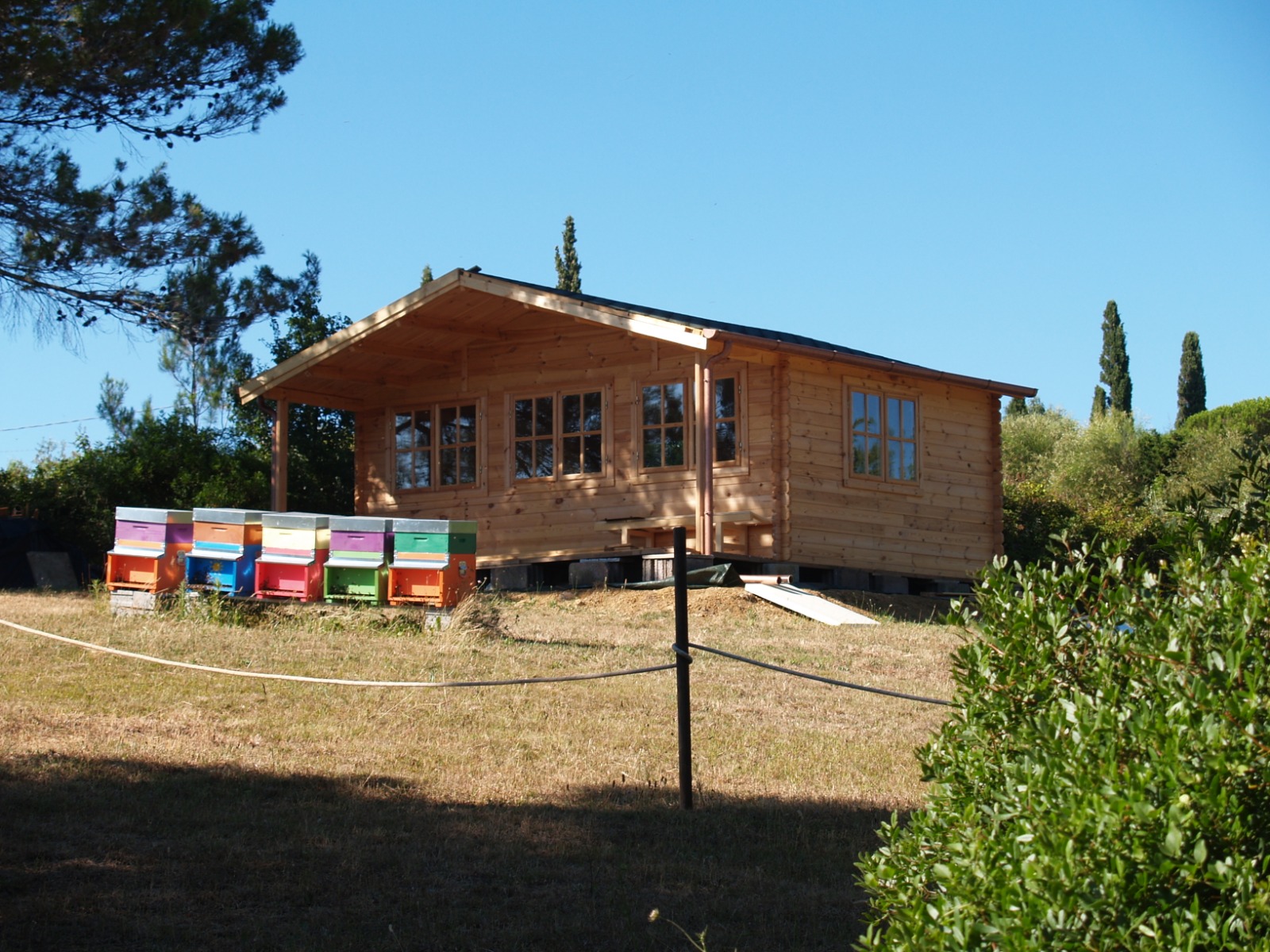 Fulvio-Tasca